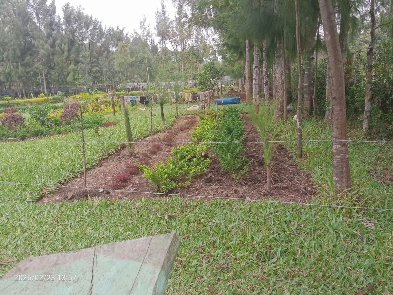 Prayer mountain garden area
