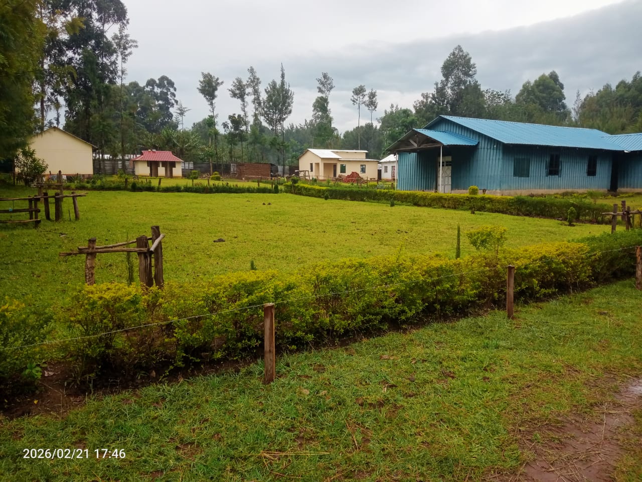 Prayer mountain trees and environment
